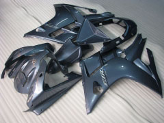 Estilo de fábrica - gris Fairings and Bodywork For 2002-2006 FJR1300 #LF7965