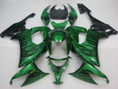Flame - Verde Negro Fairings and Bodywork For 2008-2010 NINJA ZX-10R #LF3259