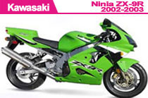 Per Ninja ZX-9R 2002-2003 Carena